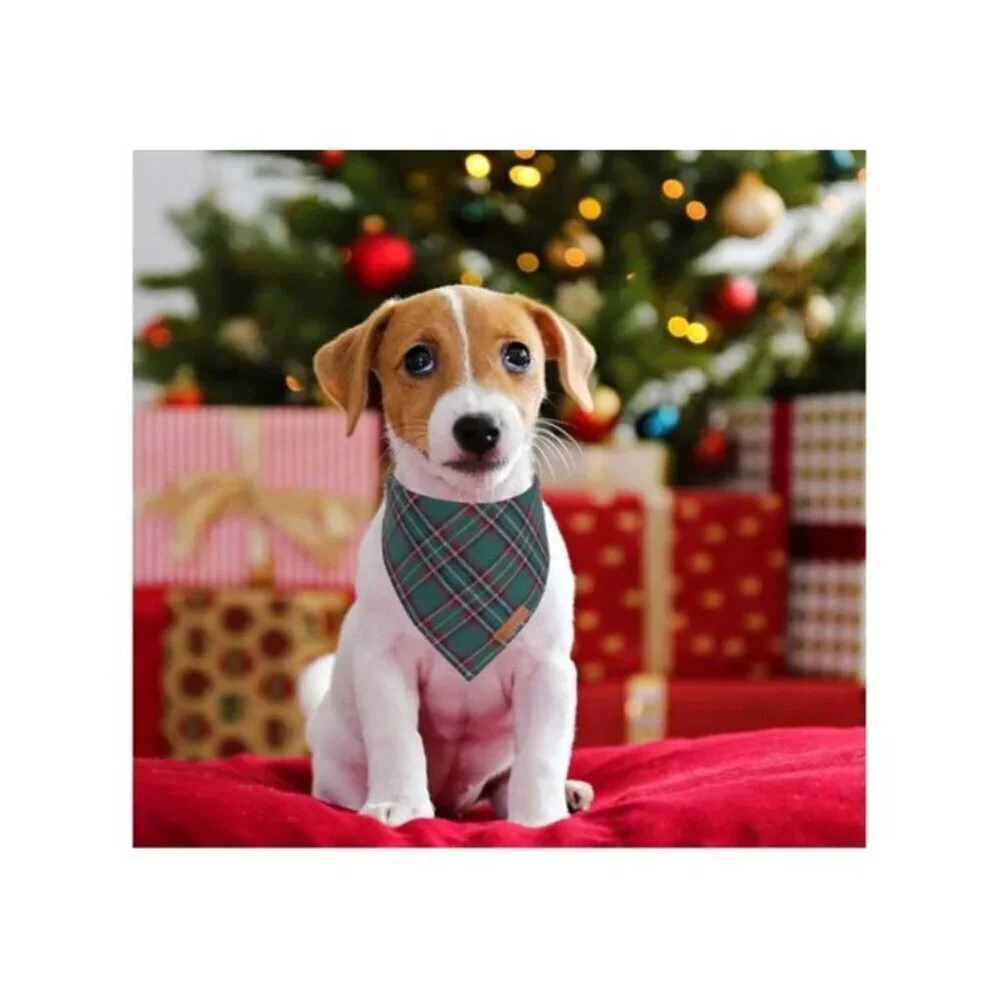 Christmas Dog Bandana 2 Pack, Stylish Plaid Pet Scarf, Premium Cotton, Small